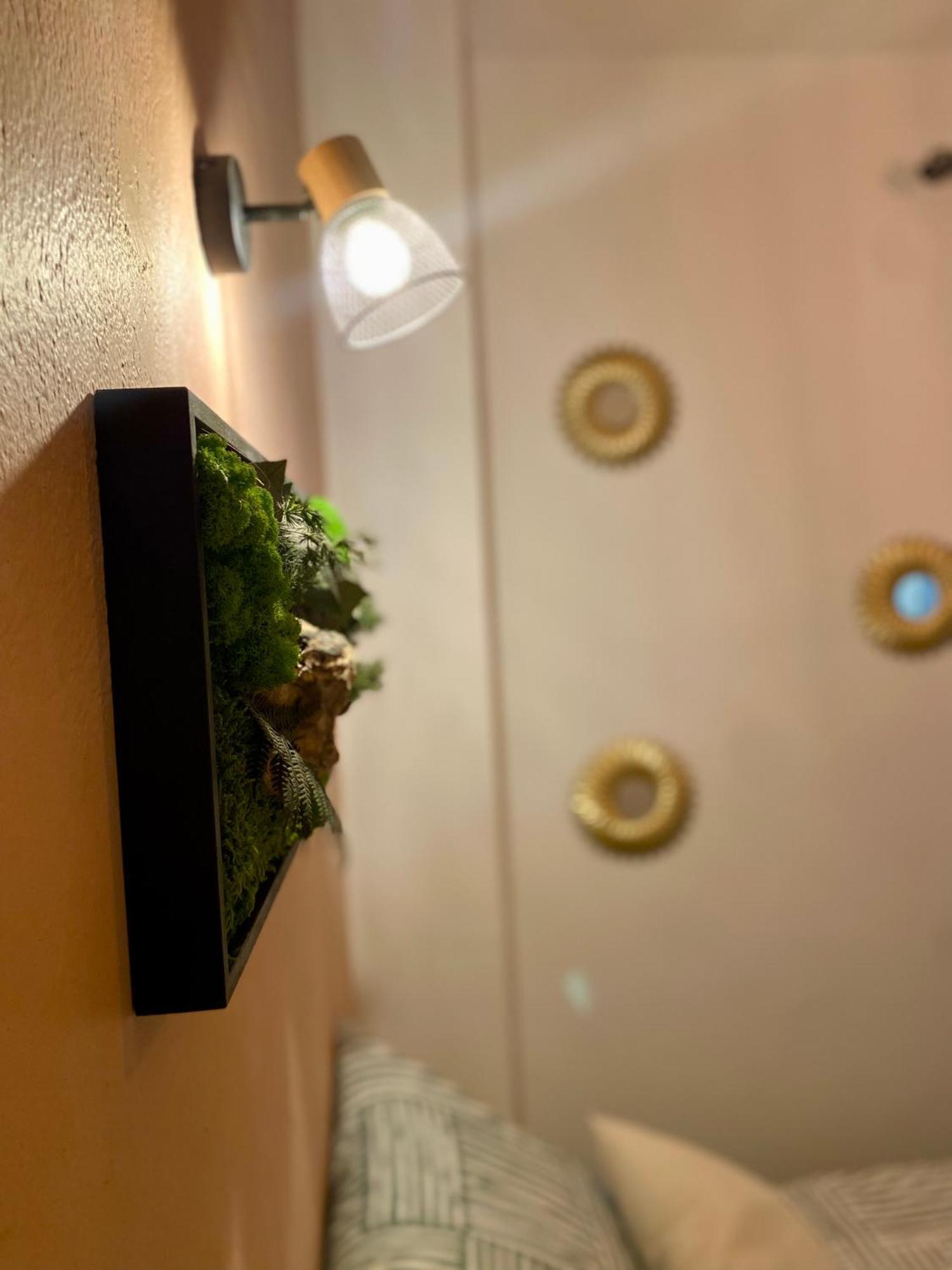Magnifique Appartement Avignon Intra-Muros 외부 사진